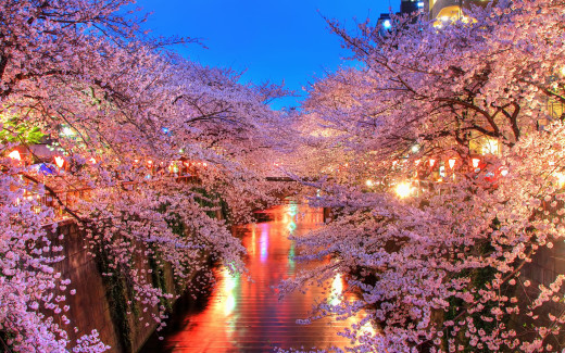 488747 (a): :2560x1600